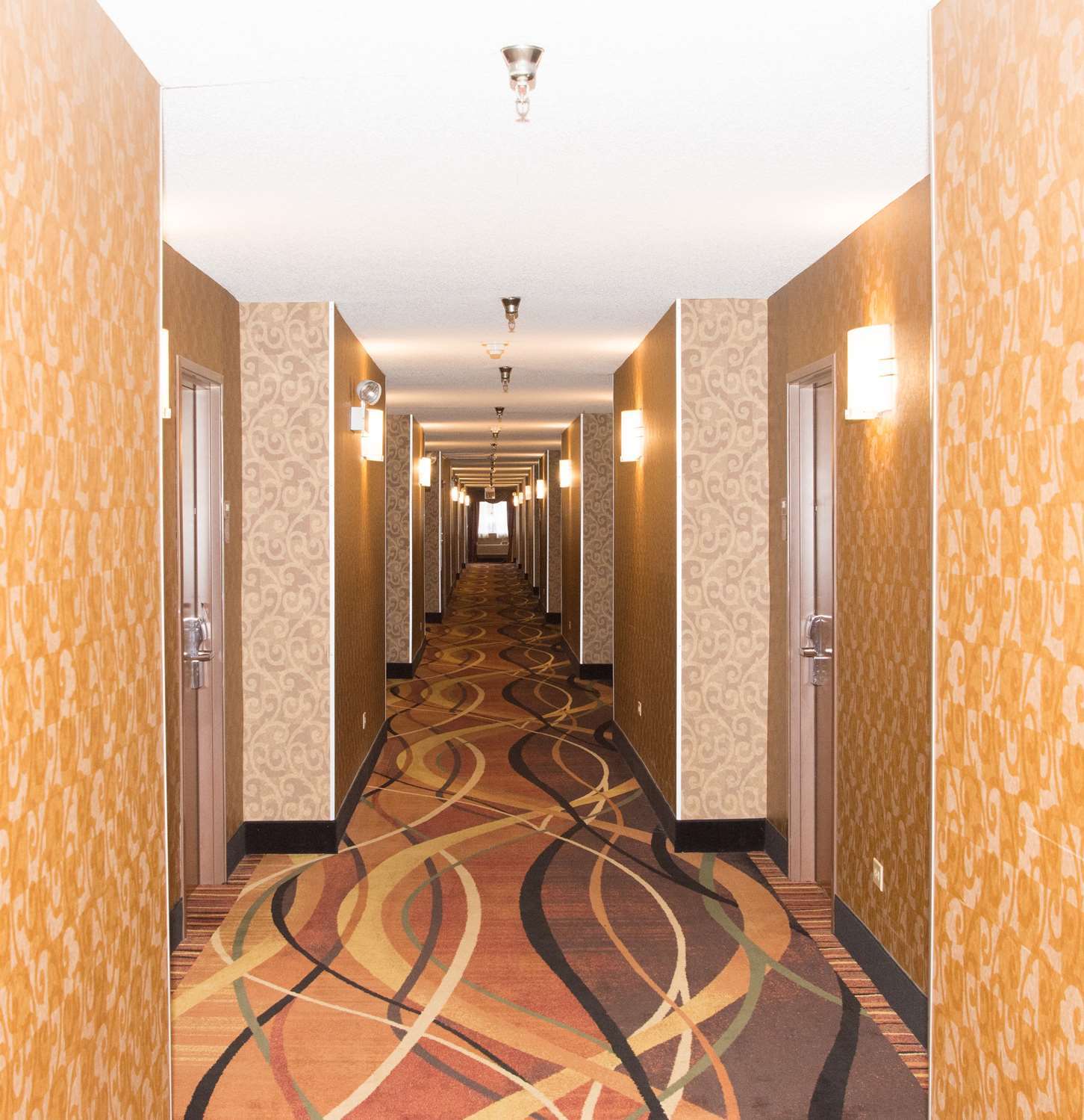 Best Western Des Plaines O'Hare Exteriér fotografie